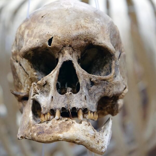 Is This Evidence Of The “Oldest Human Habit”?&hellip;