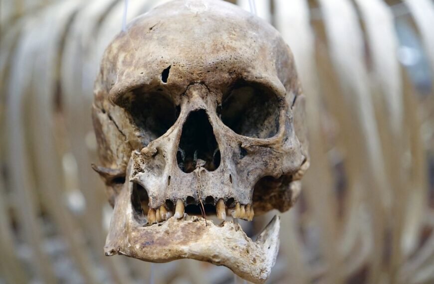 Is This Evidence Of The “Oldest Human Habit”? A New Study Has Different Ideas