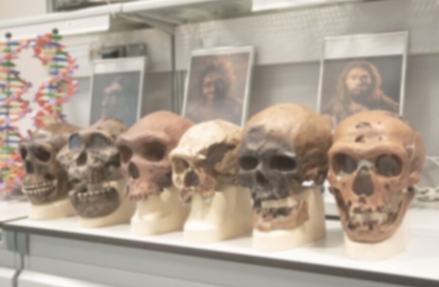 Scientists Gave Mice Neanderthal And Denisovan Genes. The…