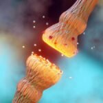 “This Is A Really Big Deal”: Brain Training Significantly Improves Key Neurochemical Levels In World First