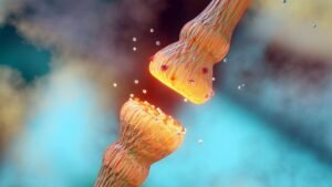 “This Is A Really Big Deal”: Brain Training&hellip;