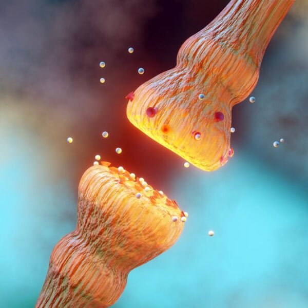 “This Is A Really Big Deal”: Brain Training&hellip;