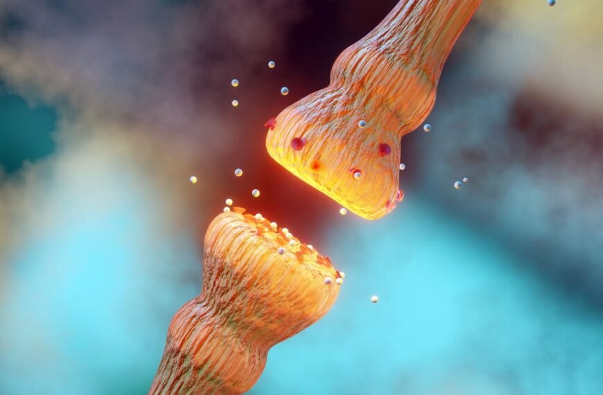 “This Is A Really Big Deal”: Brain Training Significantly Improves Key Neurochemical Levels In World First