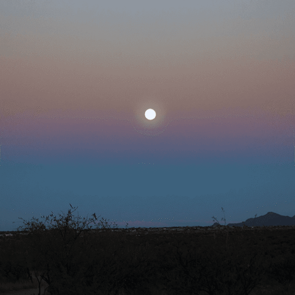 Astronaut Don Pettit Shares Image Of The “Belt&hellip;