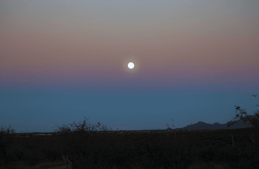 Astronaut Don Pettit Shares Image Of The “Belt…