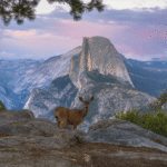 For The First Time In History, People Could Soon See Ice-Free Peaks In Yosemite