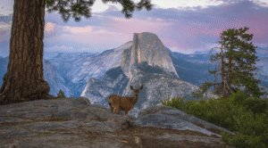 For The First Time In History, People Could&hellip;