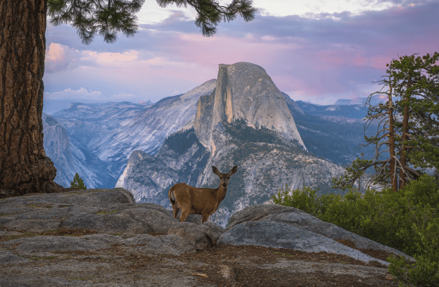 For The First Time In History, People Could…