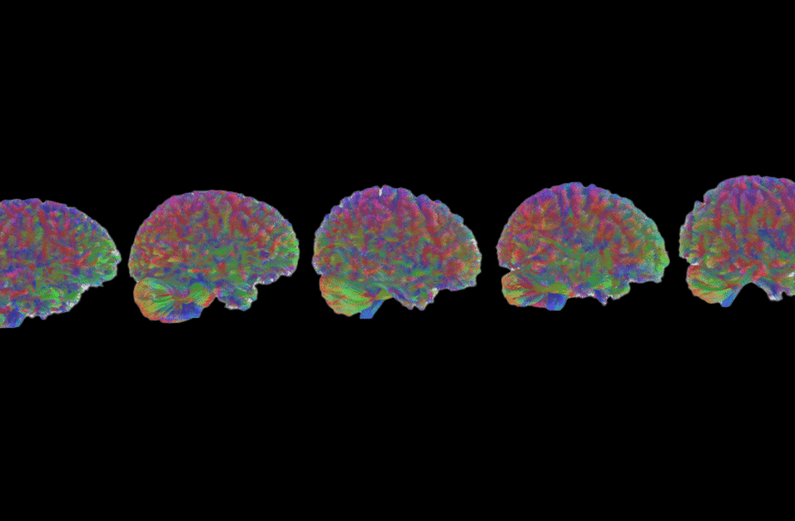 Scientists Say The Human Brain Has 5 “Ages”. Which One Are You In?