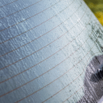 Why Do Cars Have Those Lines On The Rear Window?