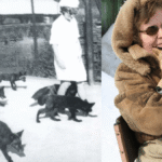 Why Can’t You Domesticate All Wild Animals? The Process Relies On 6 Characteristics Few Mammals Possess