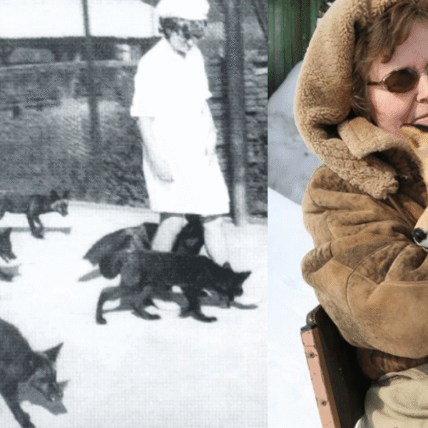 Why Can’t You Domesticate All Wild Animals? The&hellip;