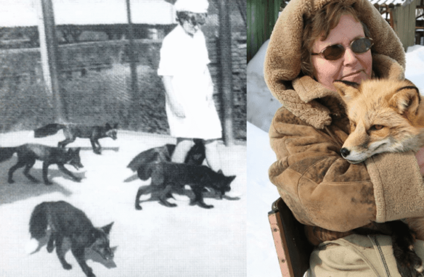 Why Can’t You Domesticate All Wild Animals? The Process Relies On 6 Characteristics Few Mammals Possess