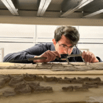 When Did Some Ancient Extinct Species Return To The Sea? Machine Learning Helps Find The Answer