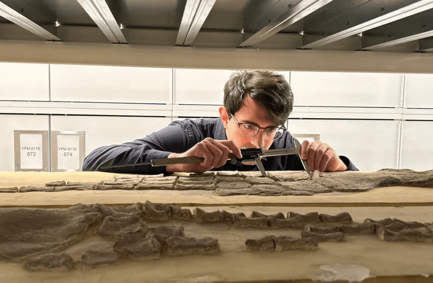 When Did Some Ancient Extinct Species Return To The Sea? Machine Learning Helps Find The Answer