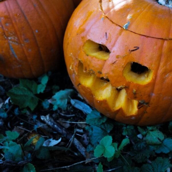 Think Before You Toss: Do Not Dump Your&hellip;