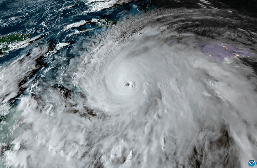 Citizen Scientists Are Helping With Rescue Efforts In Hurricane Melissa’s Aftermath – Here’s How You Can Too