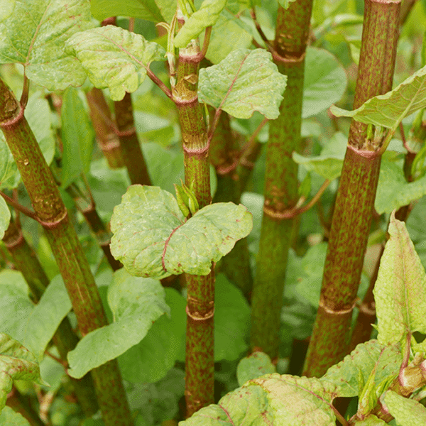 People Are Just Now Learning The Difference Between&hellip;