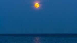 What Exactly Is The “Man In The Moon”?