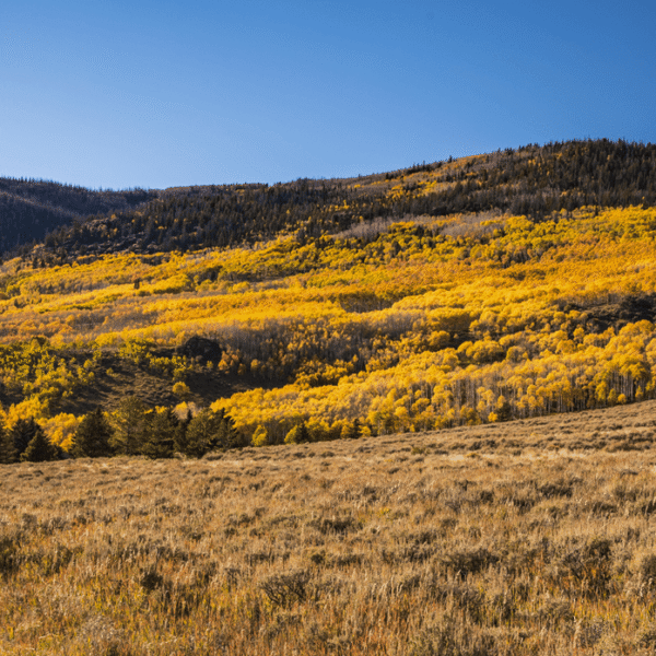 “Beautiful And Interesting”: Listen To One Of The&hellip;