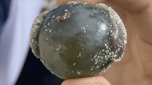 The “Sailor’s Eyeball” Blob Is One Of The&hellip;