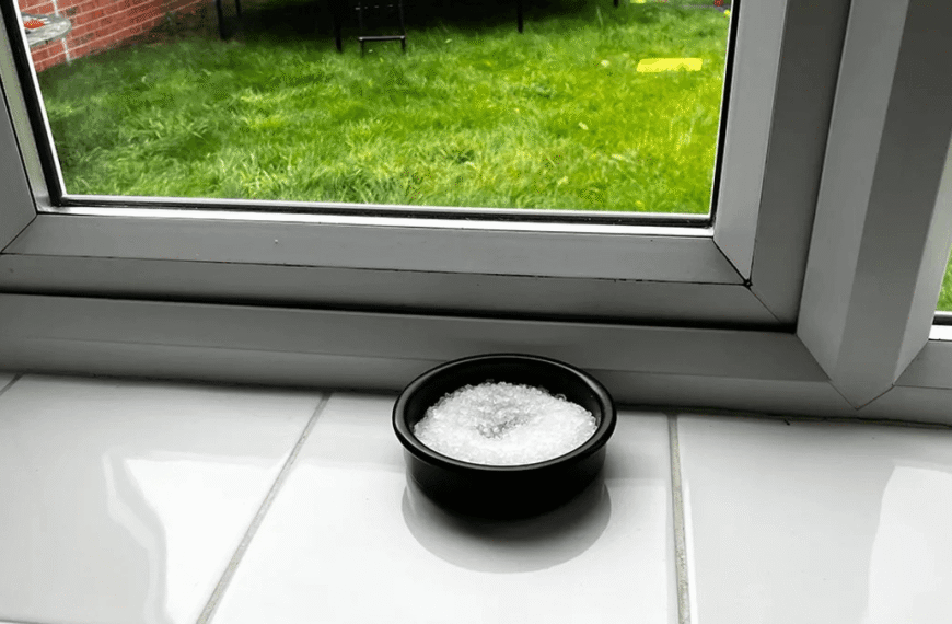 Why Are People Being Asked To Put Bowls Of Salt In Their Windows This Winter?