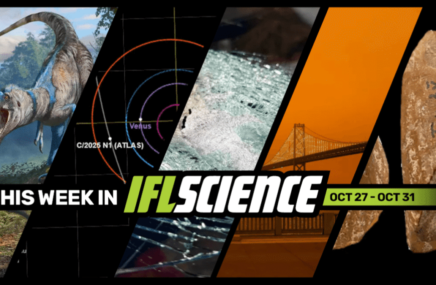 “Dueling Dinosaurs” Fossil Confirms Nanotyrannus As Own Species, Interstellar Comet 3I/ATLAS Is Back From Behind The Sun, And Much More This Week