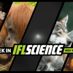 First-Ever Look At Neanderthal Nasal Cavity Shatters Expectations, NASA Reveals Comet 3I/ATLAS Images From 8 Missions, And Much More This Week