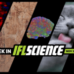 Have We Finally “Seen” Dark Matter? Mysterious Ancient Foot May Be From Our True Ancestor, And Much More This Week