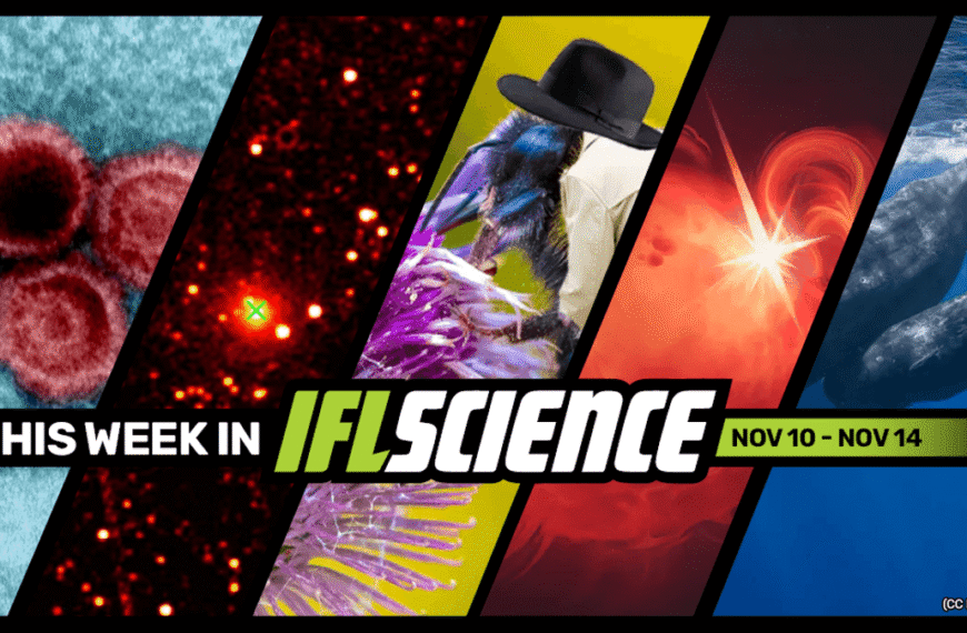 Lupus Linked To Virus That Over 95 Percent Of Us Carry, First Radio Detection Received From Interstellar Object 3I/ATLAS, And Much More This Week