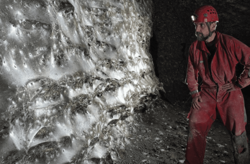 World’s Largest Spider Web, Created By 111,000 Arachnids In A Cave, Is Big Enough To Catch A Whale