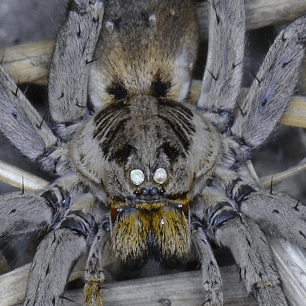 If You Shine A Light In Your Garden&hellip;