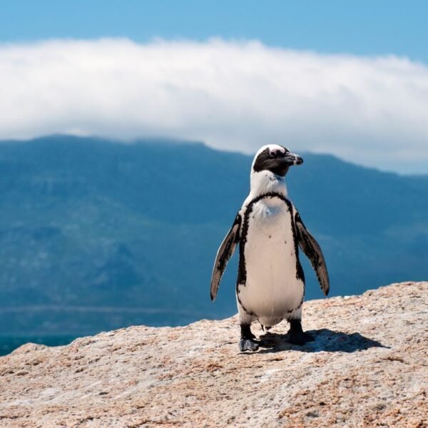 “Starved To Death En Masse”: Populations Of Breeding&hellip;