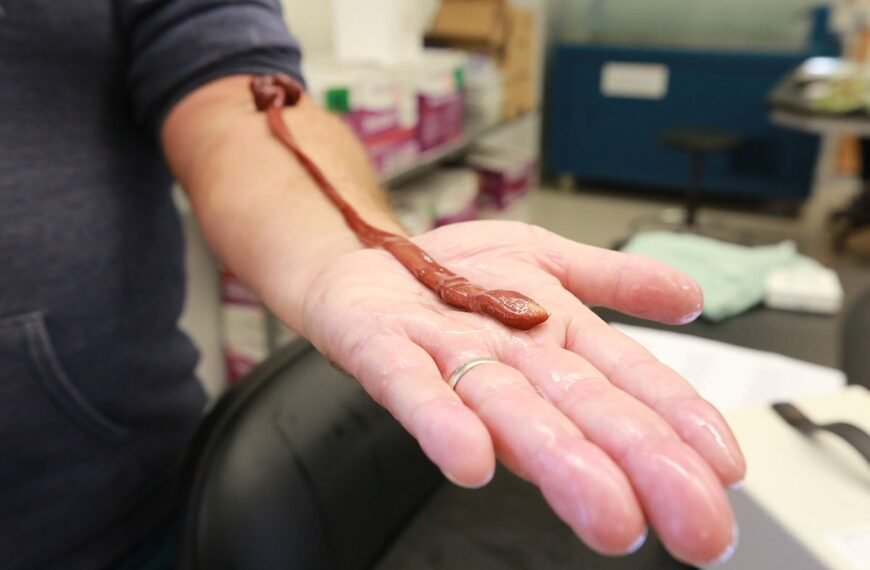 This Worm Quietly Lived In A Lab For Decades, But They Had No Idea Just How Old It Truly Was