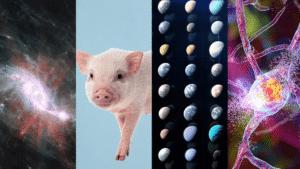 These Were Some Of The Most Significant Scientific&hellip;