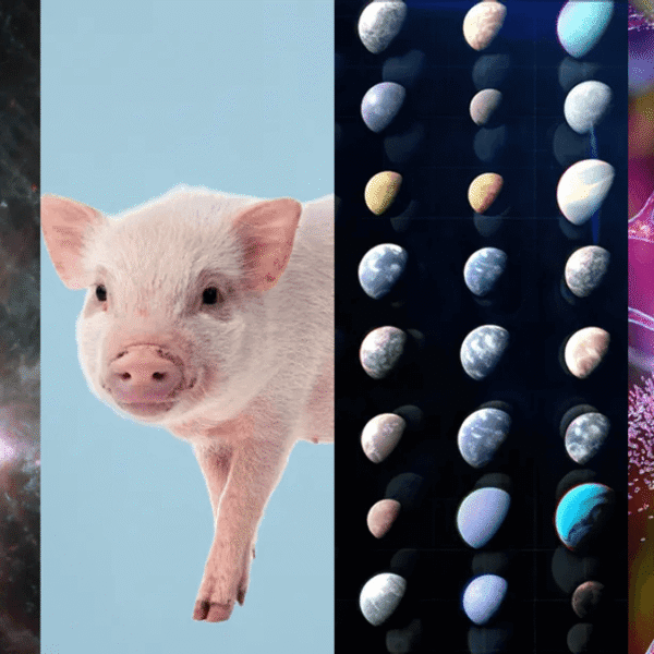 These Were Some Of The Most Significant Scientific&hellip;