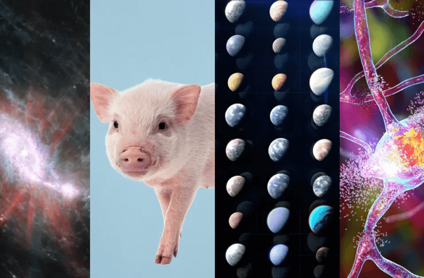 These Were Some Of The Most Significant Scientific&hellip;