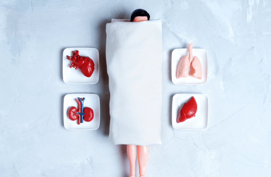 Around 90 Percent Of People Report Personality Changes After An Organ Transplant – Why?