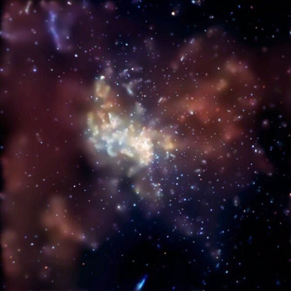 Defiant Stars And Unusual Objects Survive Against The&hellip;