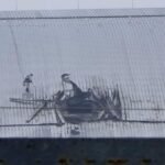 Chernobyl’s Protective Shield Is Broken After A Drone Strike, Warns UN Nuclear Watchdog