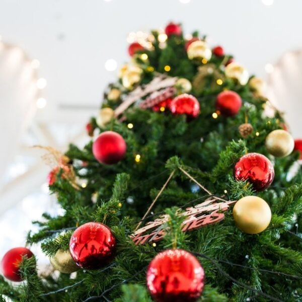 Where Is The World’s Largest Christmas Tree?