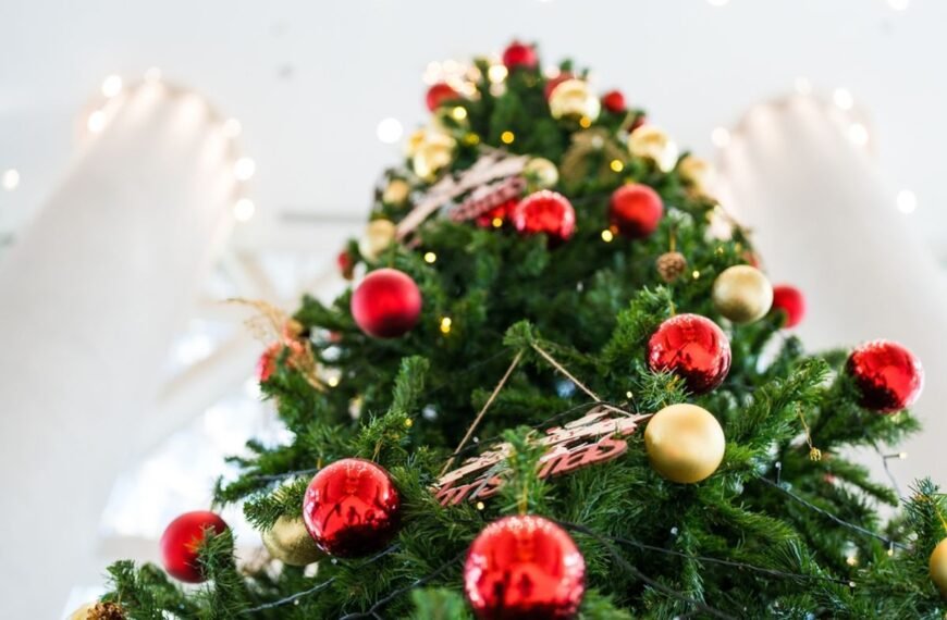 Where Is The World’s Largest Christmas Tree?