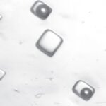 “It’s An Incredible Feeling”: Salty Air Bubbles In 1.4-Billion-Year-Old Crystals Reveal Secrets Of Earth’s Early Atmosphere