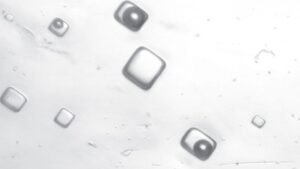 “It’s An Incredible Feeling”: Salty Air Bubbles In&hellip;