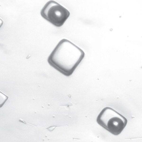 “It’s An Incredible Feeling”: Salty Air Bubbles In&hellip;