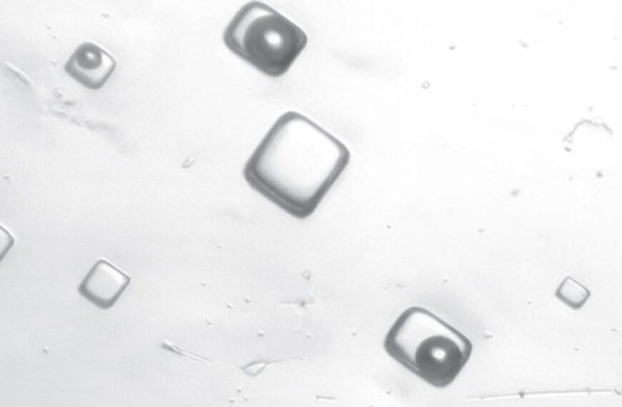 “It’s An Incredible Feeling”: Salty Air Bubbles In&hellip;