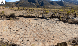 World’s Largest Dinosaur Tracksite Has At Least 16,600&hellip;