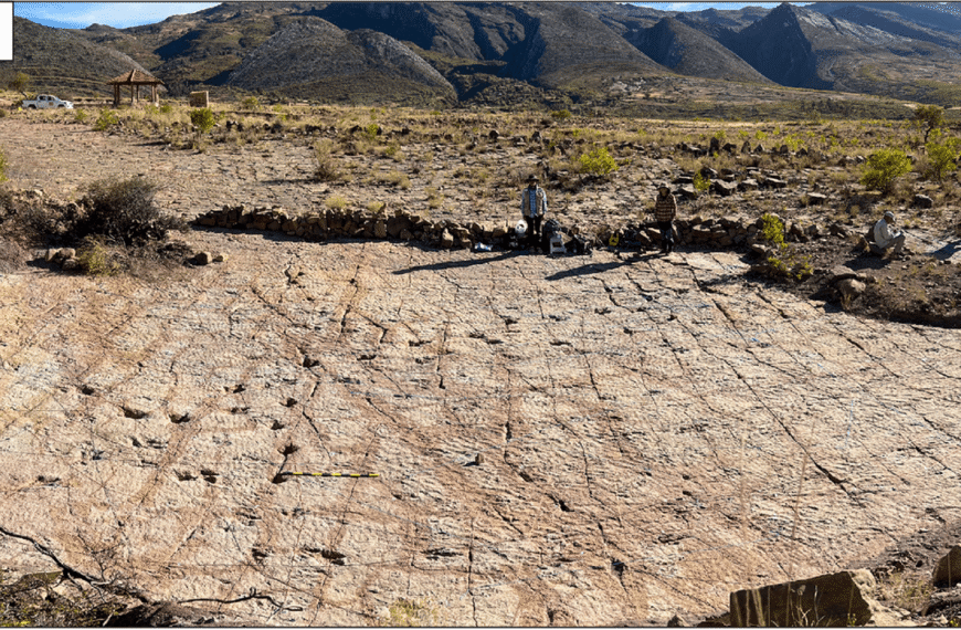World’s Largest Dinosaur Tracksite Has At Least 16,600 Footprints And Sets Many World Records
