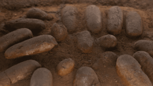 Were Dinosaur Eggs Soft Like A Reptile’s, Or&hellip;