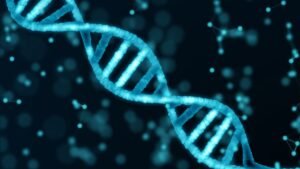 In A Monumental Scientific Effort, The Human Genome&hellip;